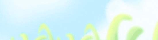 เรื่องร้องเรียนการทุจริตและประพฤติมิชอบ